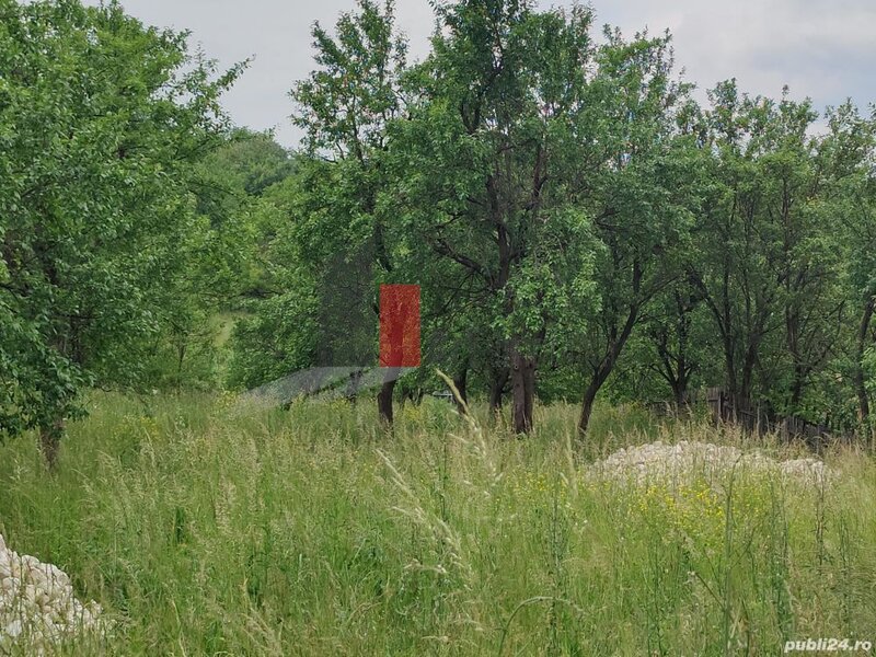 Boteni Arges, teren intravilan