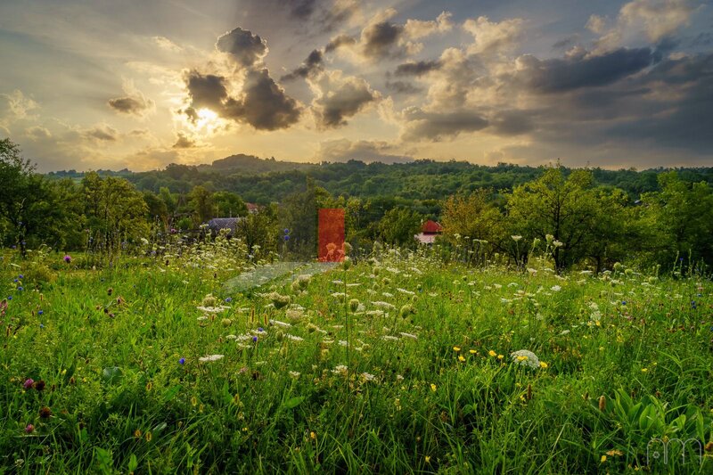 Boteni, Arges teren intravilan