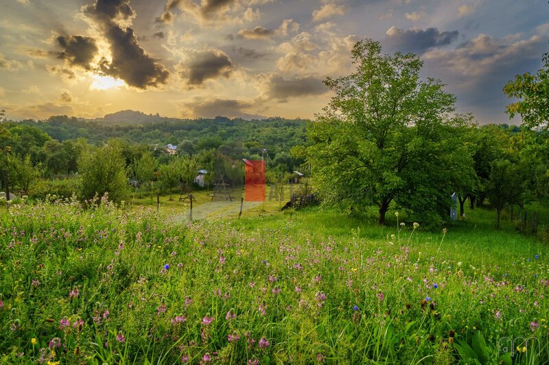 Boteni Arges, teren intravilan